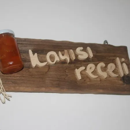 Recel אלאקאטי