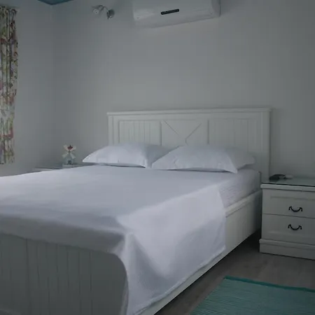 Recel * אלאקאטי